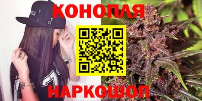 стафф Краснознаменск