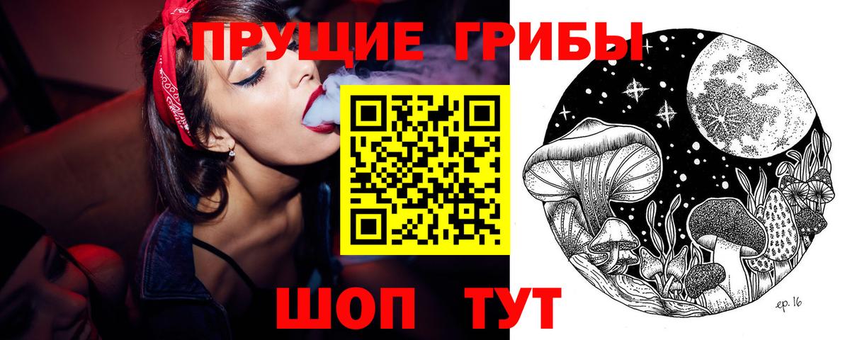 Кемерово  Галлюциногенные грибы прущие грибы  Вход с VPN 