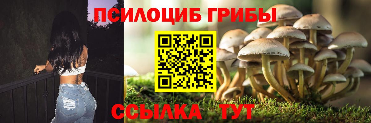 Псилоцибиновые грибы Cubensis Кемерово